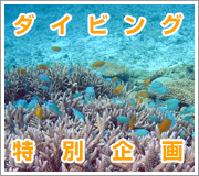 激安ダイビング