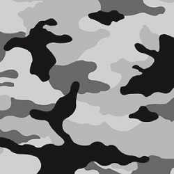 CAMOڰ(nPSł)