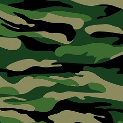 CAMO(nPSł)