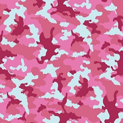 CAMOݸ(nPSł)