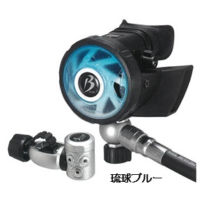 BLACK Beans 2 (RB4300CKj