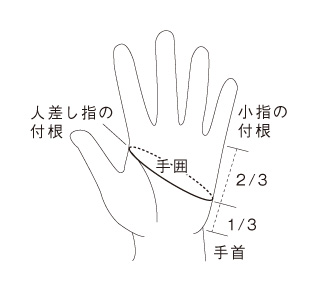 ウインターグローブ